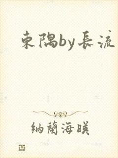 东隅by长流流封面