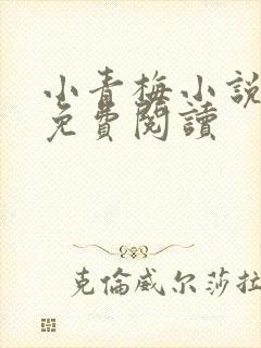 小青梅小说全文免费阅读