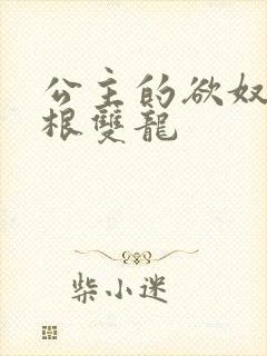 公主的欲奴h四根双龙封面