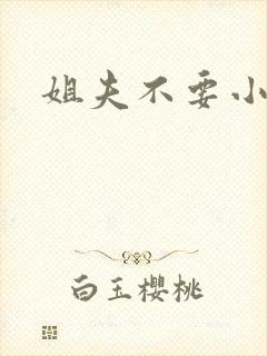 姐夫不要小说