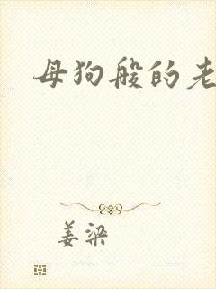 母狗般的老师封面