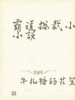 霸道总裁小娇妻小说