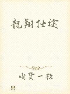龙翔仕途