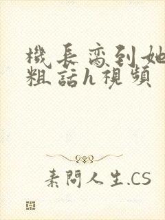 机长脔到她哭h粗话h视频
