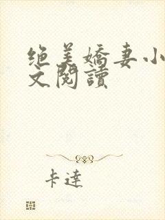 绝美娇妻小说全文阅读