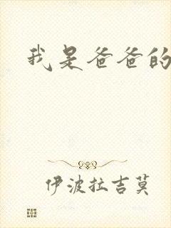 我是爸爸的玩具