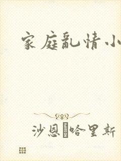 家庭乱情小说
