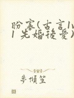 盼寡(古言1v1 先婚后爱)荔枝好多