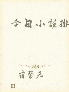 今日小说排行榜封面