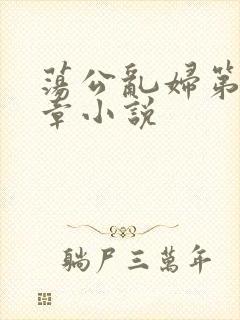 荡公乱妇第51章小说封面
