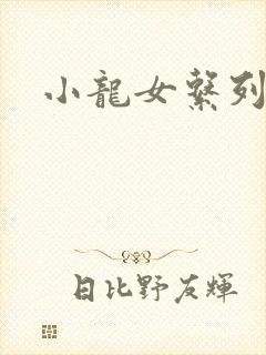 小龙女系列小说