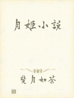 月姬小说