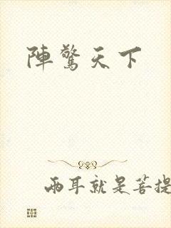 阵惊天下
