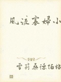 风流寡妇小说