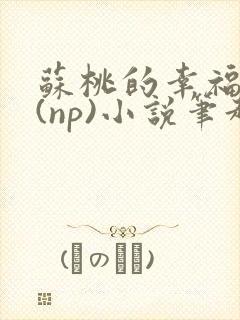 苏桃的幸福生活(np)小说笔趣阁沐沐封面