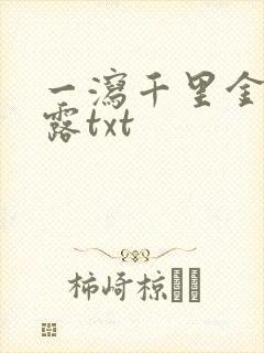 一泻千里金银花露txt