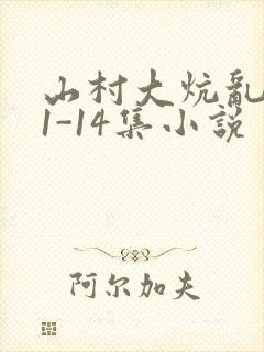 山村大炕乱肉续1-14集小说封面