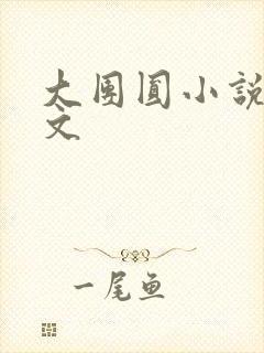 大团圆小说集全文
