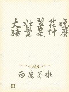 大壮翠花晚上不睡觉是什么电视剧