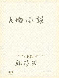 h肉小说