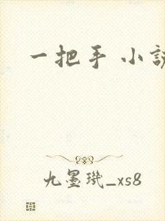 一把手 小说