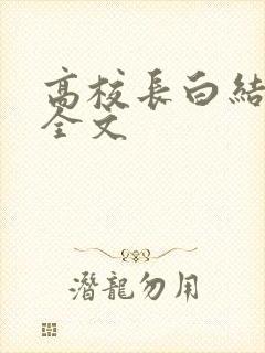 高校长白结小说全文