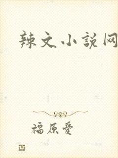 辣文小说网