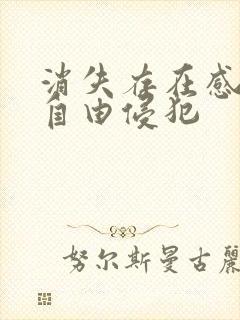 消失存在感消失自由侵犯