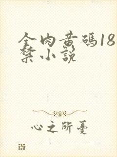 全肉黄码18无禁小说