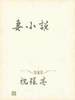 妻小说