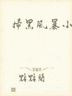 扫黑风暴小说
