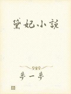 黛妃小说