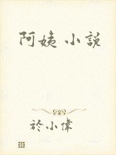 阿姨 小说