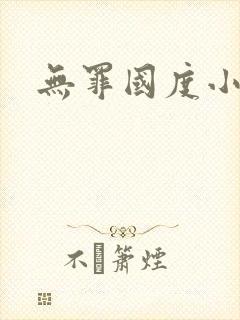 无罪国度小说