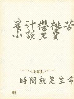 蜜汁樱桃苦咖啡小说免费封面