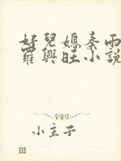 好儿媳秦雨罗明罗兴旺小说