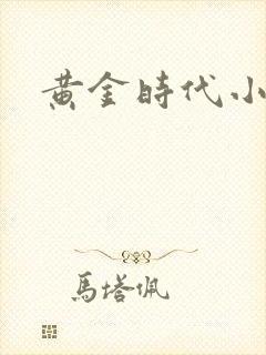 黄金时代小说封面