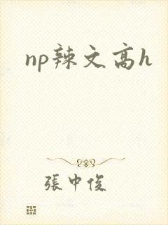 np辣文高h