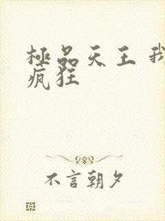 极品天王 我本疯狂