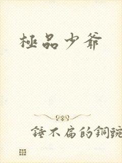 极品少爷