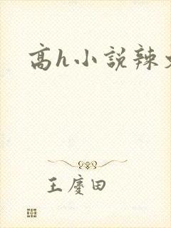 高h小说辣文封面