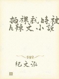 拍裸戏时被c了h辣文小说封面