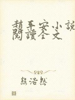 赵平安小说免费阅读全文封面