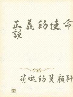 正义的使命 小说