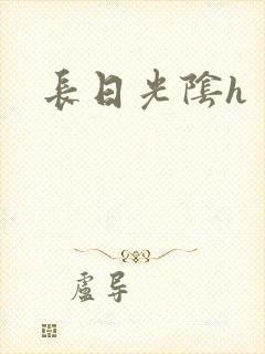 长日光阴h封面