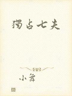 独占七夫封面