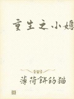 重生之小媳妇封面