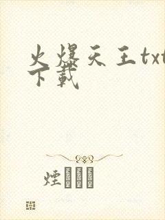 火爆天王txt下载封面