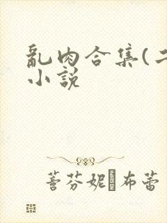 乱肉合集(二)小说