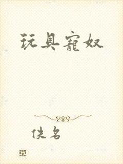 玩具宠奴